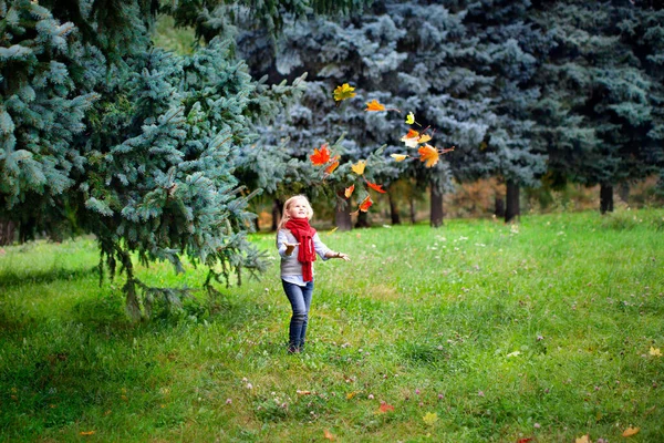 Маленькая блондинка в красном шарфе бросает листья в осенний лес. Хорошо проводит время на свежем воздухе — стоковое фото