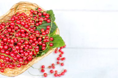 Beyaz bir bankta kırmızı frenk üzümü sepeti. 