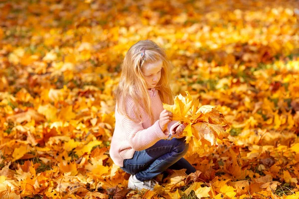 Mała Blondynka Różowym Swetrze Zbiera Bukiet Jesiennych Jasnych Pomarańczowych Liści — Zdjęcie stockowe