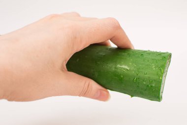 Aloe vera jel bir cilt yanığı uygulama el. Doğal alternatif tıp