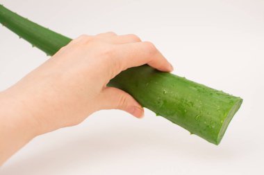 Aloe vera jel bir cilt yanığı uygulama el. Doğal alternatif tıp
