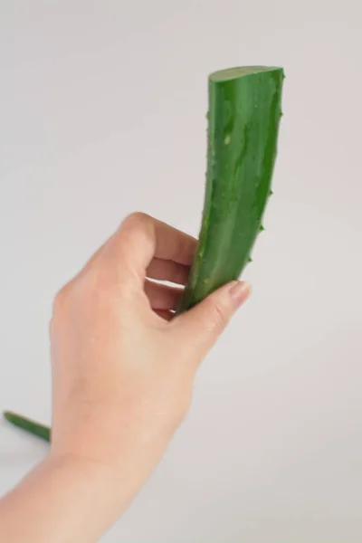 Ręka Nakładanie Żelu Aloe Vera Oparzenie Skóry Naturalny Medycyna Alternatywna — Zdjęcie stockowe