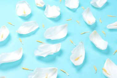 Yaprakları çiçek desen arka plan.