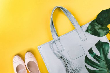 El çantası, Ayakkabı ve yeşil yaprak bileşimi.