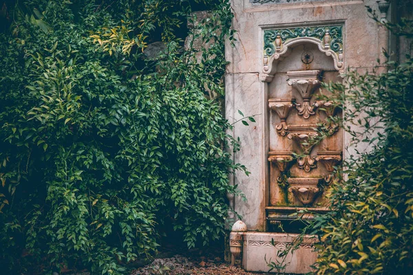 Architecture fountain ni the park. — Stock Photo, Image