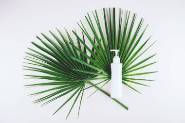 Bir şişe krema ve yeşil bitki..