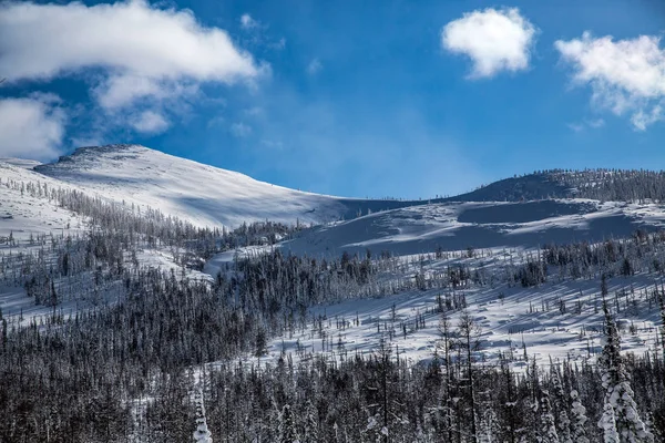 Góry Las stoku, jak i zimą, przy słonecznej pogodzie Obrazek Stockowy