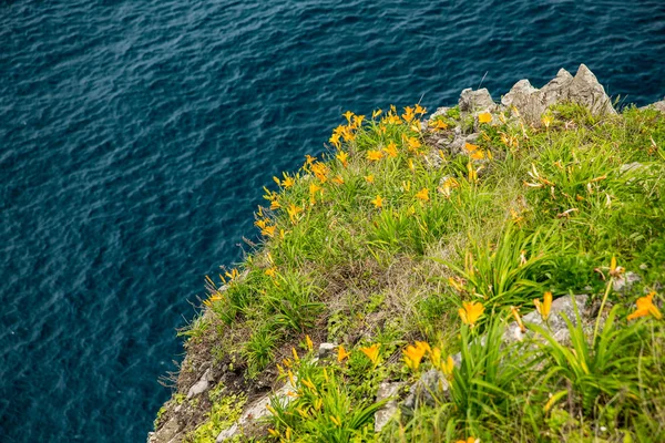 Gelbe Blüten auf dem Dekolleté gegen das Meer — Stockfoto