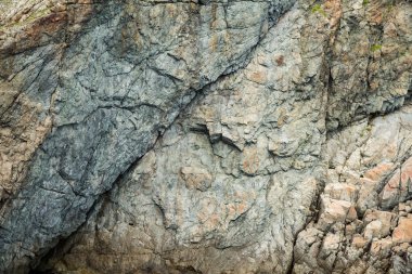 Deniz kenarında bir uçurum closeup