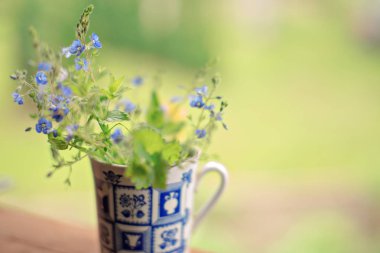 Bir fincan kır çiçekleri