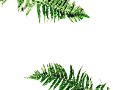 Ahşap çerçeveli eğreltiotu