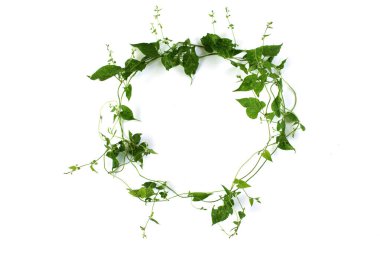 Yaprak çerçeve düz yatıyordu