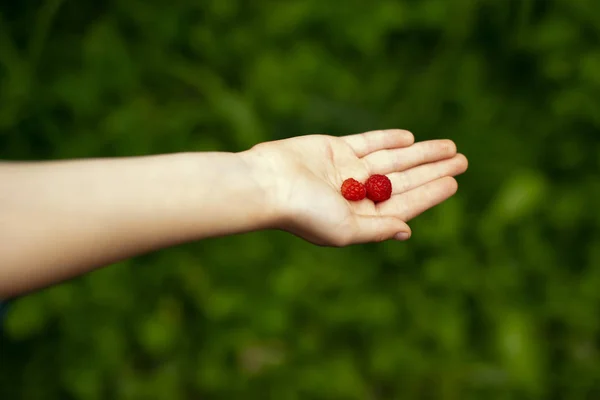 Руки с ягодами — стоковое фото