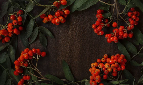 Rowan berries on wooden boards — Stock Photo, Image