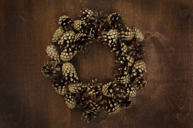 Çam konileri düz yatıyordu