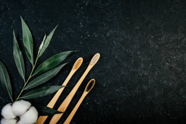 Diş bambu fırçaları