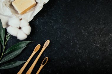 Diş bambu fırçaları