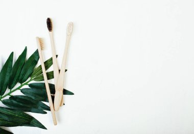 Diş bambu fırçaları