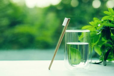 Camda bir bambu diş fırçası.
