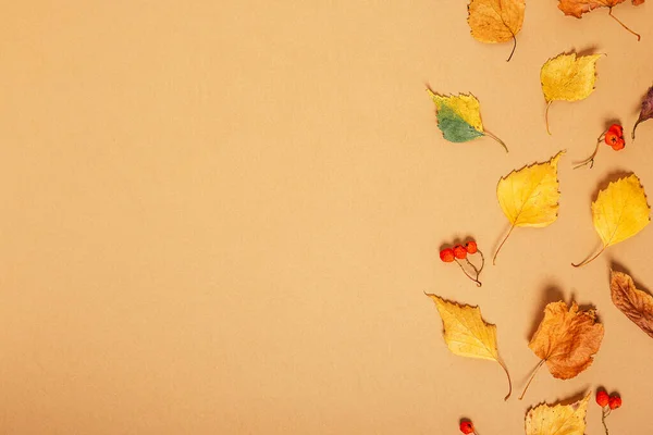 Rámeček z podzimních sušených listů — Stock fotografie
