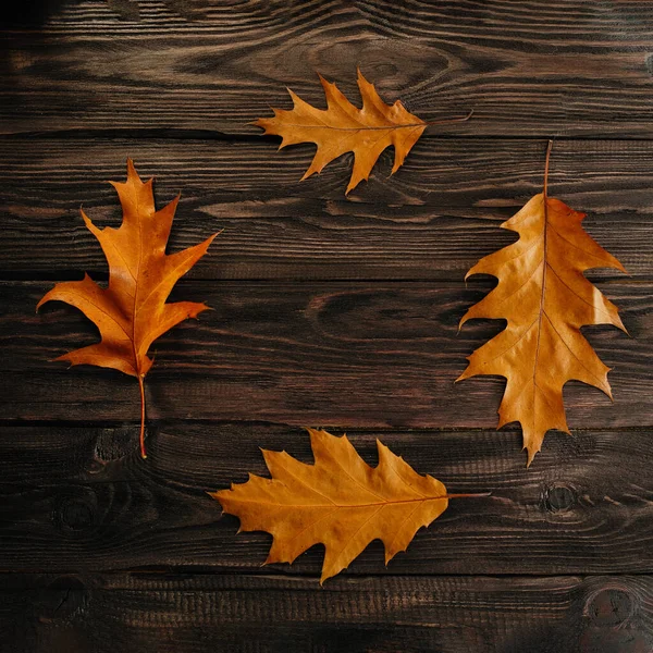 Рамка Осенних Листьев Темном Деревянном Фоне — стоковое фото