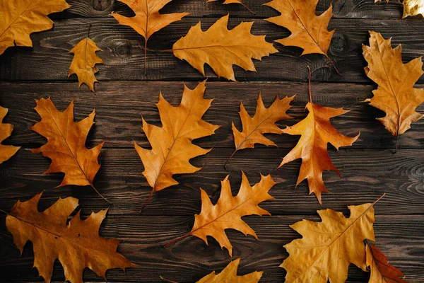 Marco Hecho Hojas Otoño Sobre Fondo Madera Oscura — Foto de Stock