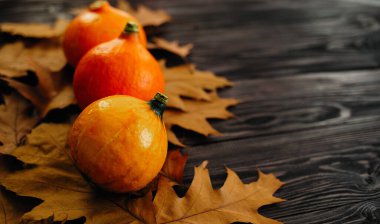 Sonbahar yapraklarında balkabağı, Cadılar Bayramı, Şükran Günü veya mevsimsel sonbahar günü.