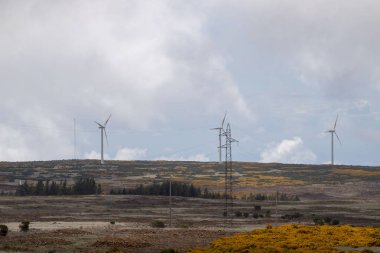 Yollar ve bulutlar doğa
