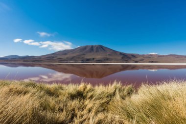 Laguna Roja, dağın yansıması ile tuz gölü, Eduardo Avaroa Andean Fauna Ulusal Rezerv, Bolivya.