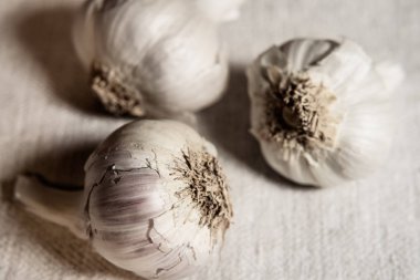 Keten kumaş arka planda sarımsak soğanları. Yakın Çekim