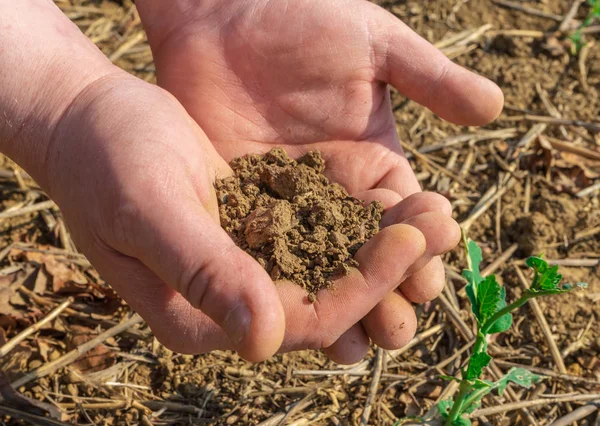 Mans mãos segurando solo no campo de primavera. Fechar — Fotografia de Stock