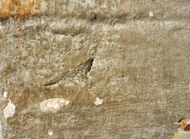 Kuş detay ile eski duvar arka plan. Yakın çekim