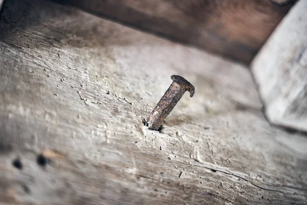 Old rusty nail on wood wall. Selective focus on nail. Close up