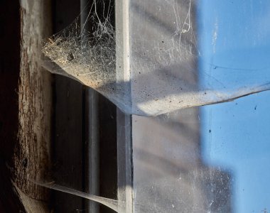 Eski evin penceresine güneş ışığı altında asılı örümcek ağı ve pencerenin dışındaki mavi gökyüzü. Makro çekim