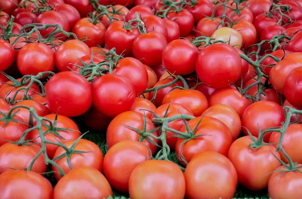 Tomaten. Veel tomaten op de markt. Zijaanzicht — Stockfoto