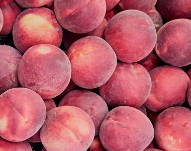 Olgun erikler. Bir sürü mor erik. Kapat.