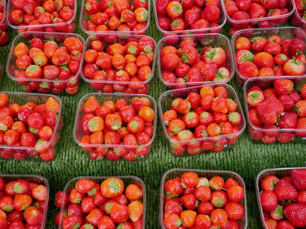 Markette plastik kutularda çilek olan bir tezgah. Üst görünüm.