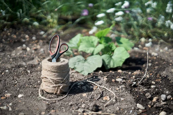 Bulanık bahçe arka planında makaslı jute ip topuna seçmeli odaklan