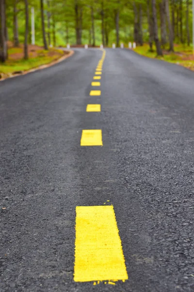 Asphalt road with yellow line marking on road surface for separate lanes