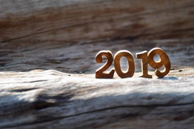 Sayı 2019 tahta günlük, doğa kavramı ve ışık gölge fikir üzerinde güneş ışığı ile