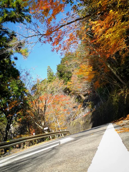 Hermoso Camino Montaña Con Árbol Arce Koyasan Japón Idea Temporada —  Fotos de Stock