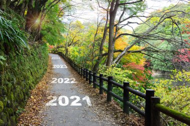 2021 'den 2024' e kadar dağdaki yürüyüş yolunda akçaağaç ağaçları, mutlu yıllar konsepti ve doğal arka plan fikri