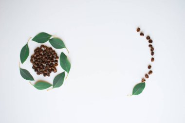 Okaliptüs yaprakları ile kahve çekirdekleri.