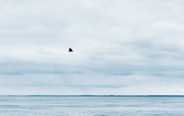 Scioglimento del ghiaccio sul mare e cielo nuvoloso . — Foto Stock