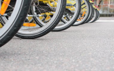 Park yerinde park etmiş birçok bisiklet.