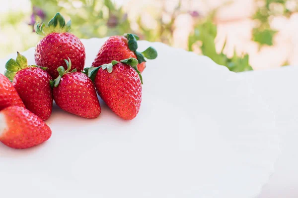 Fresas frescas en un plato blanco. —  Fotos de Stock