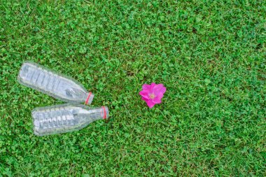 İki kullanılmış plastik şişe..