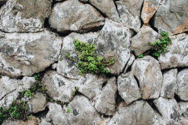 Duvar büyük taşlar ve bazı yeşillik.