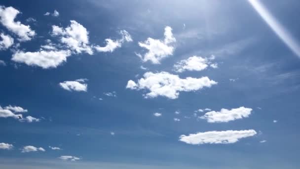 Gaviotas volando en el cielo. — Vídeos de Stock