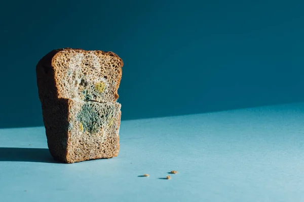 Mold on bread, a piece of rye bread with white and green mold. Best before date has expired a long time ago with this mouldy food.